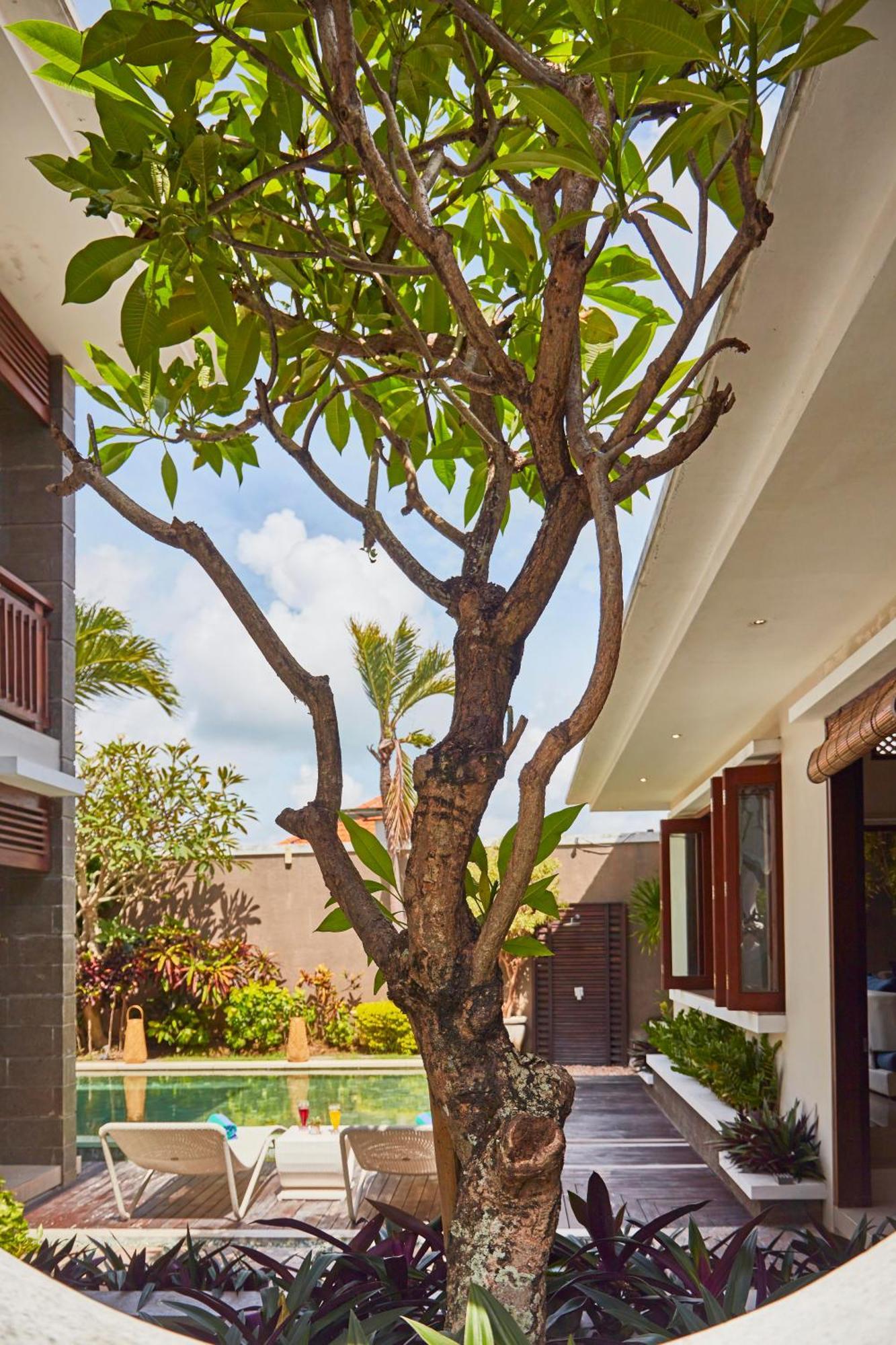 Dreamscape Bali Villas Canggu Extérieur photo
